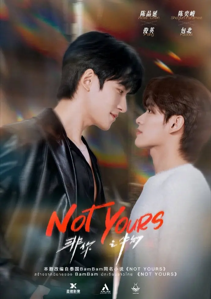 《非你之物》2026高分泰剧双男主主演 - 高清完整版免费在线观看 - 无广告流畅播放非你之物全集资源
