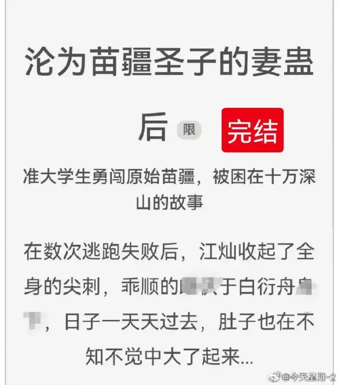 《沦为苗疆圣子的妻蛊后》全文txt下载-沦为苗疆圣子的妻蛊后免费阅读-狐狸雨小说完结版-百度云全集资源
